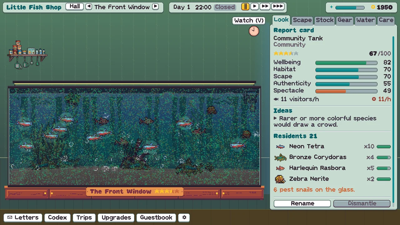 Fins & Fronds: a community tank and its report card